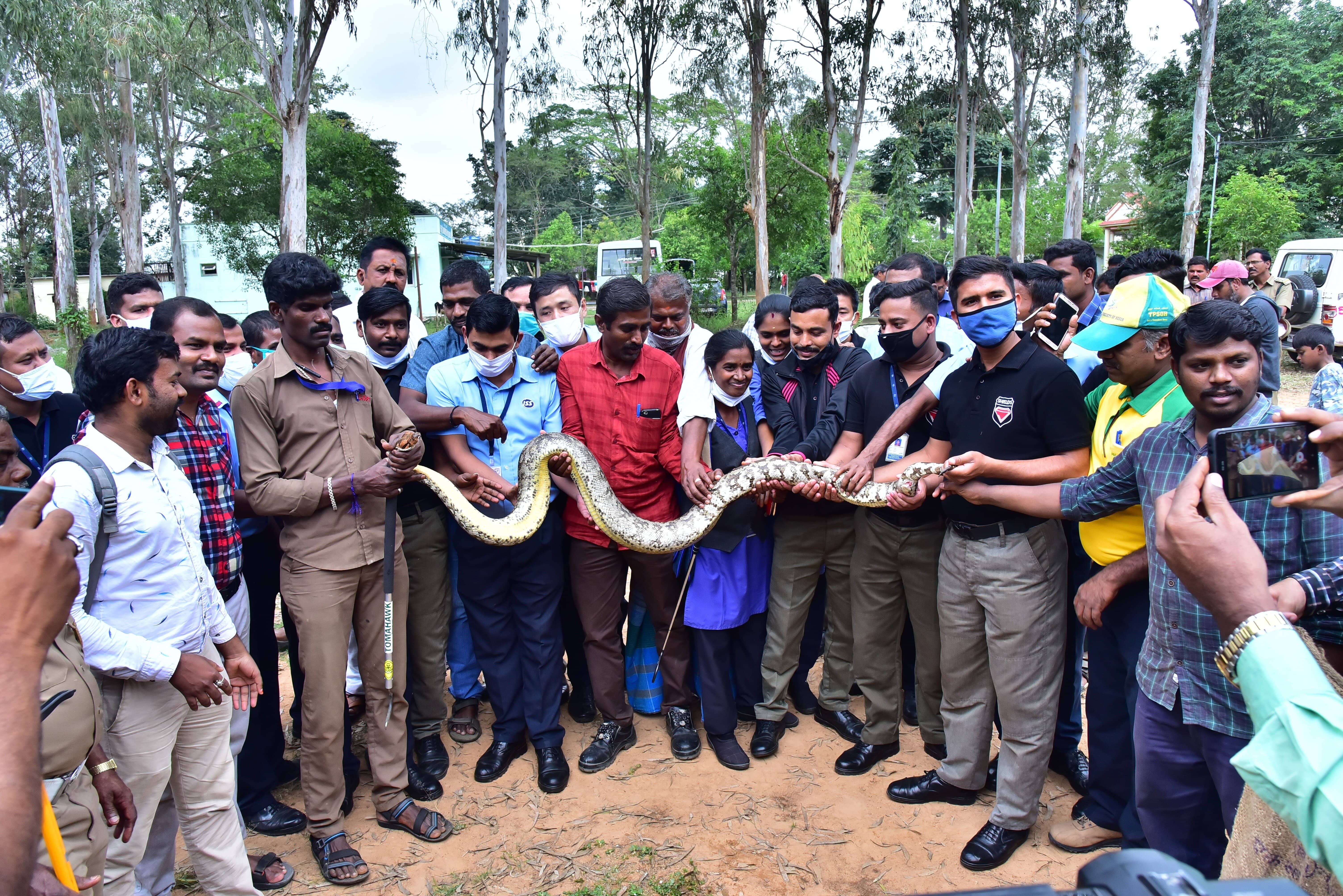 Participants holding a big Indian Python